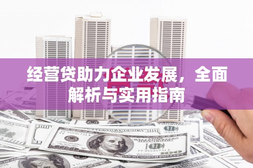 萨嘎经营贷助力企业发展，全面解析与实用指南