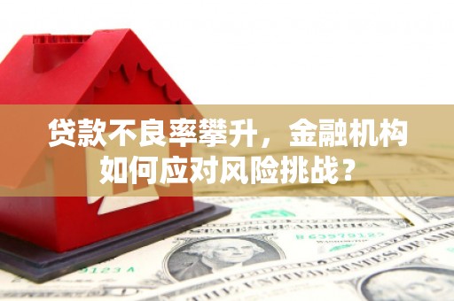 兴庆贷款不良率攀升，金融机构如何应对风险挑战？