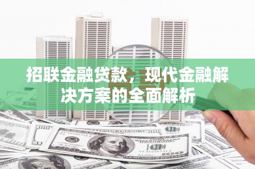 岢岚招联金融贷款，现代金融解决方案的全面解析