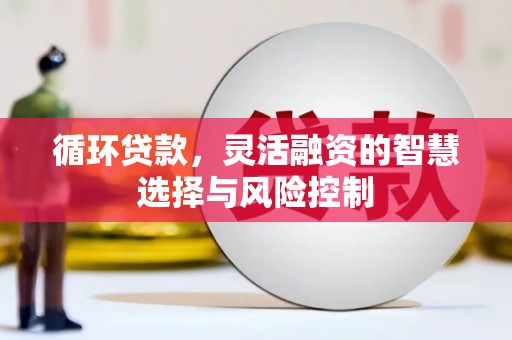镜湖循环贷款，灵活融资的智慧选择与风险控制