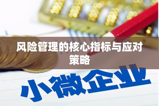 盐山风险管理的核心指标与应对策略