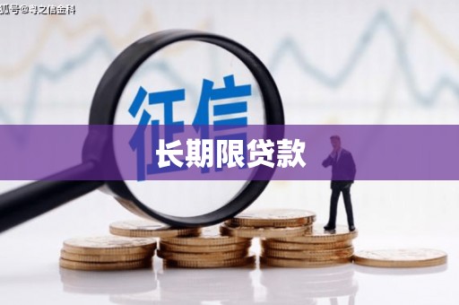 盐山长期限贷款