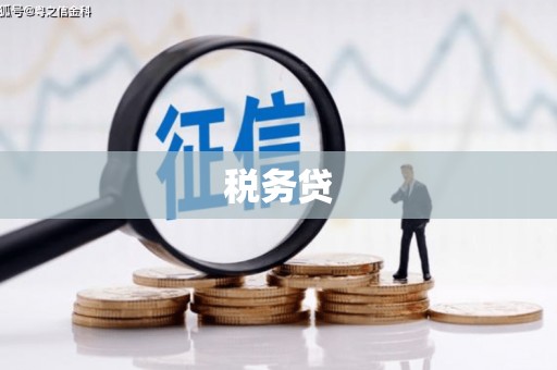 清镇税务贷