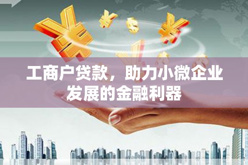 汉滨工商户贷款，助力小微企业发展的金融利器