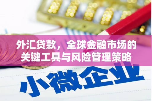 修水外汇贷款，全球金融市场的关键工具与风险管理策略