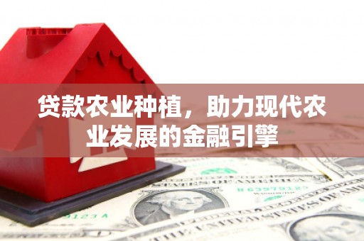 巨野贷款农业种植，助力现代农业发展的金融引擎