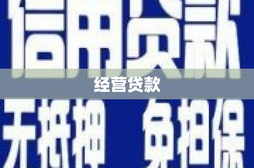 延川经营贷款