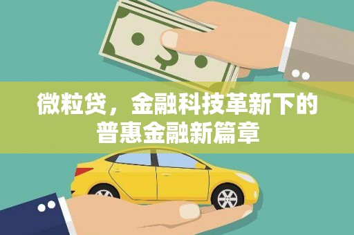 勉县微粒贷，金融科技革新下的普惠金融新篇章