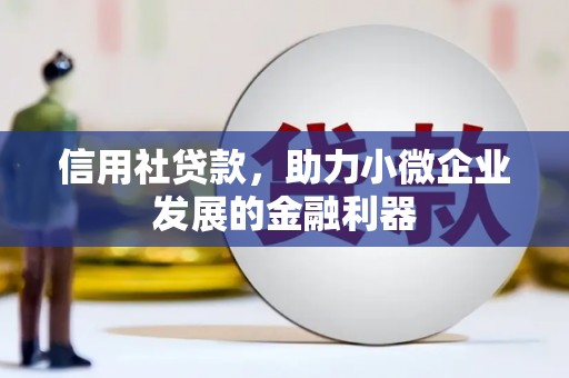 玉树信用社贷款，助力小微企业发展的金融利器