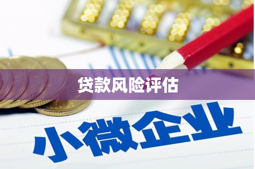 云岩贷款风险评估