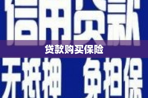 板芙贷款购买保险