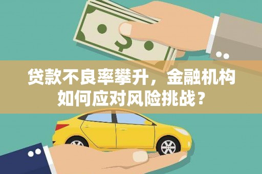 丽水贷款不良率攀升，金融机构如何应对风险挑战？