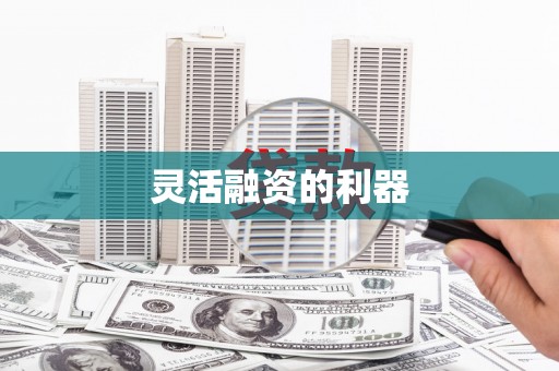 芗城灵活融资的利器