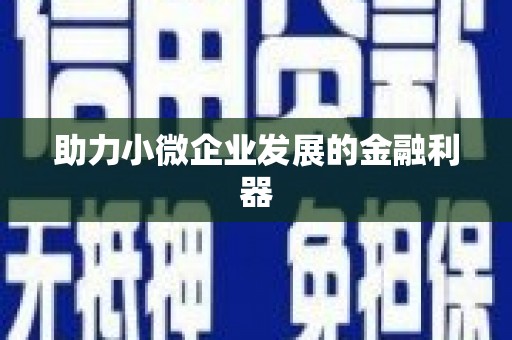 巴青助力小微企业发展的金融利器