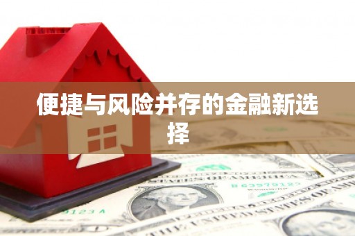 沈河便捷与风险并存的金融新选择
