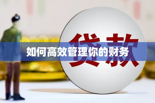乐都如何高效管理你的财务