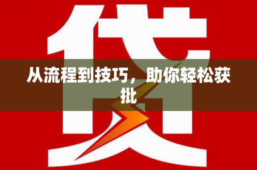 中区从流程到技巧，助你轻松获批