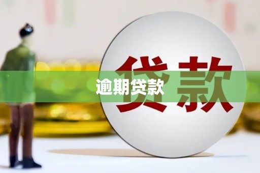 当涂逾期贷款