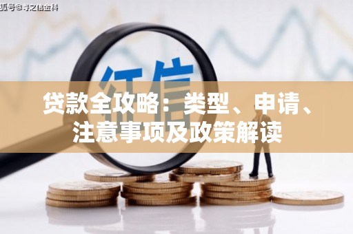 安南贷款全攻略：类型、申请、注意事项及政策解读