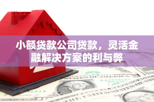 天元小额贷款公司贷款，灵活金融解决方案的利与弊