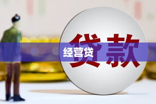 崖州经营贷
